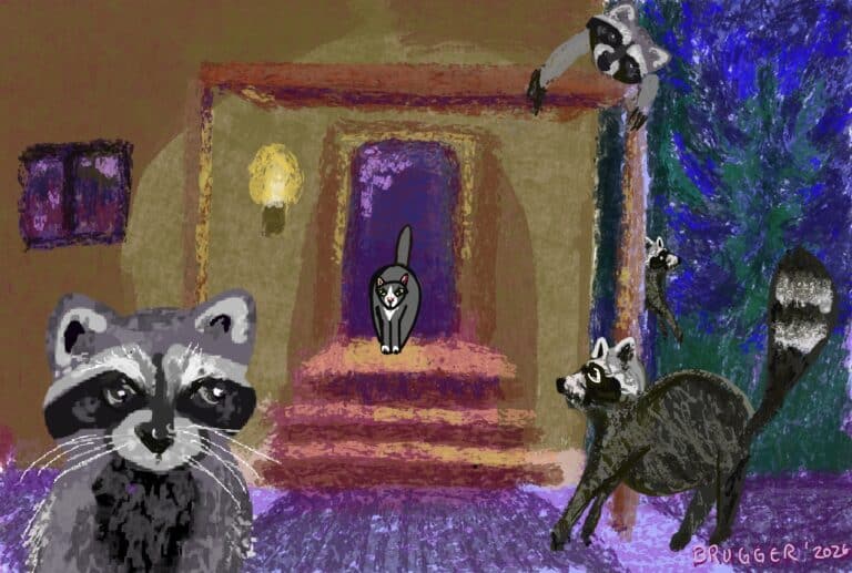 illustration of Li-Li and the raccoons