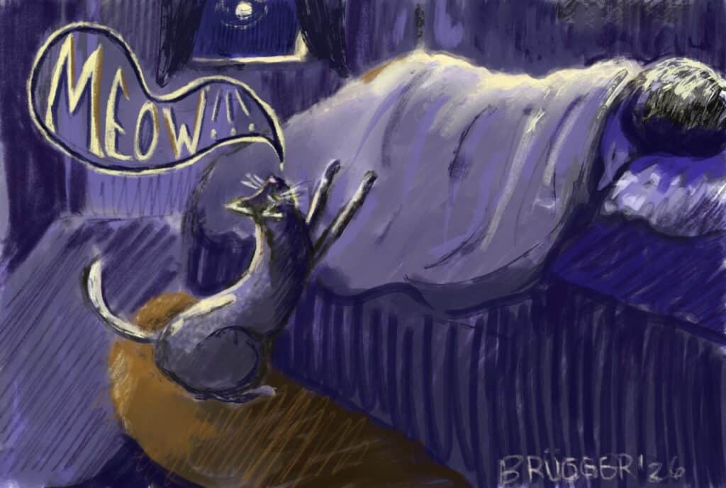 Top hat illustration of cat scratching bed