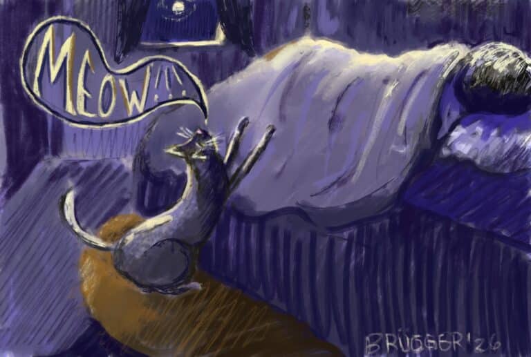 Top hat illustration of cat scratching bed